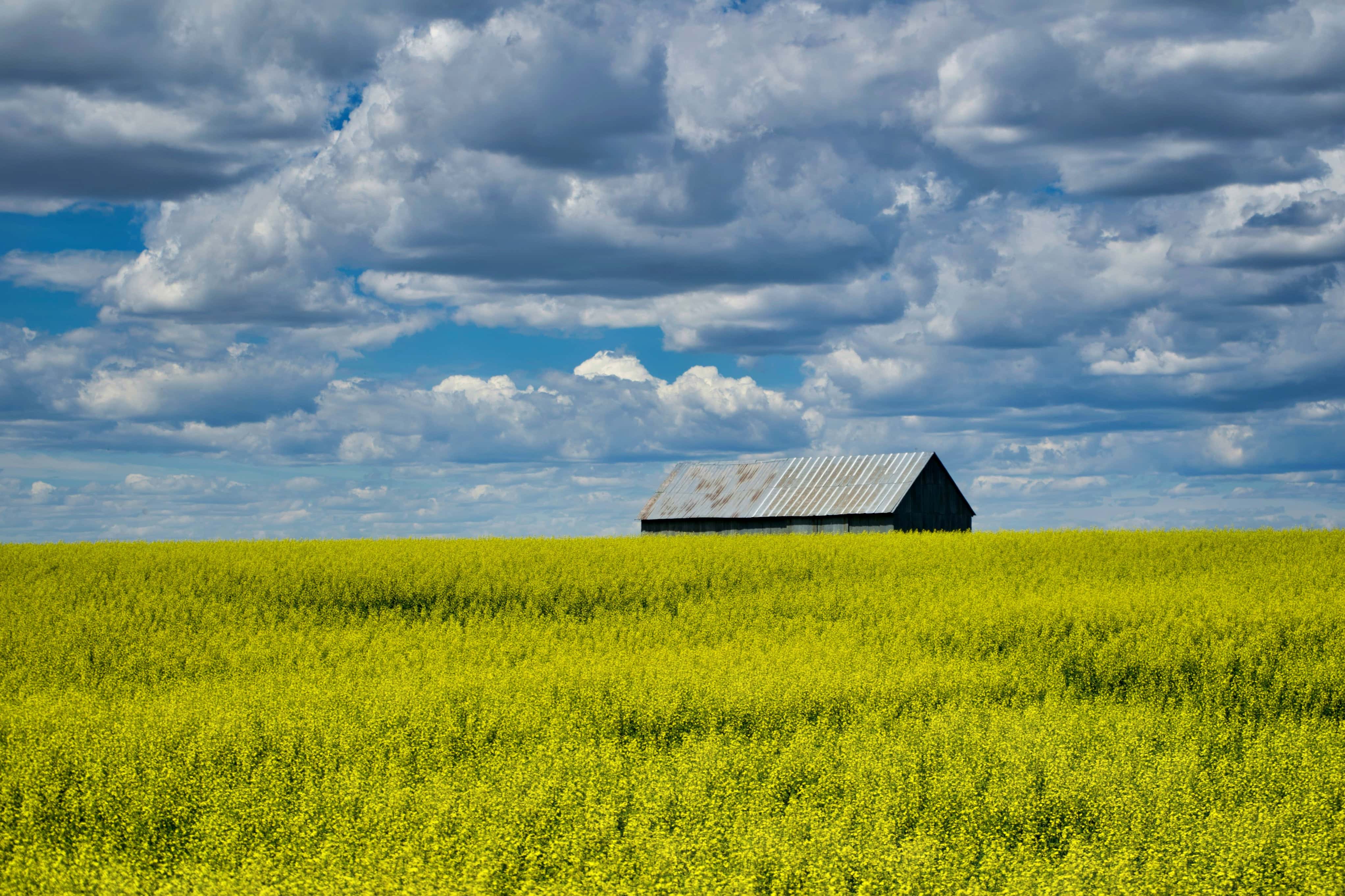 Idaho Pre-Engineered Metal Buildings